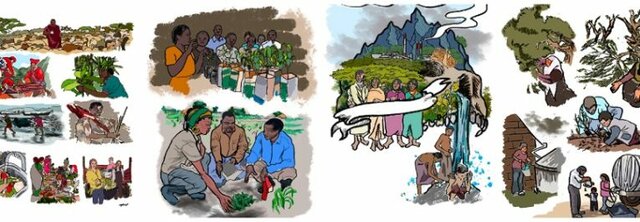 División de las escuelas campesinas