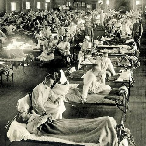 PANDÈMIA DE LA GRIP ESPANYOLA