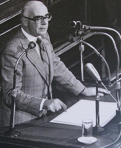 Γεώργιος Ράλλης