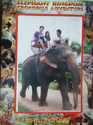 On Elephant