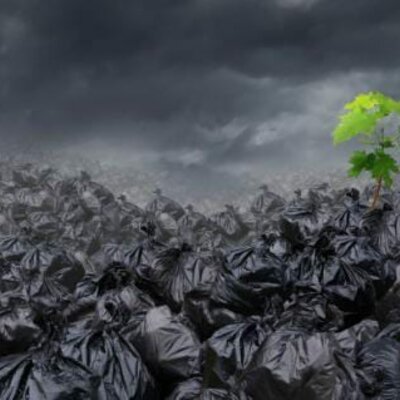 Timeline: Problema mundial de la basura