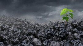 Timeline: Problema mundial de la basura