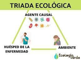 Modelo Causal Ecológico