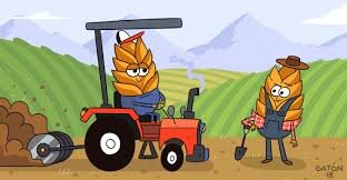 los agricultores empiezan a meter maquinas al cativo