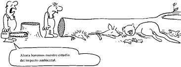 hubo una deforestación importante que causo mucho daño a la flora y la fauna incluso perdida de especies animales