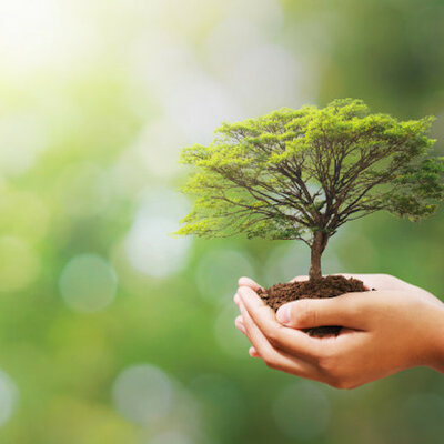 Timeline: Cumbres, foros y conferencias sobre el Desarrollo Sustentable