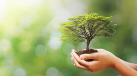 Timeline: Cumbres, foros y conferencias sobre el Desarrollo Sustentable