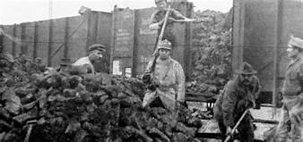 França ocupa les mines de carbó alemanes