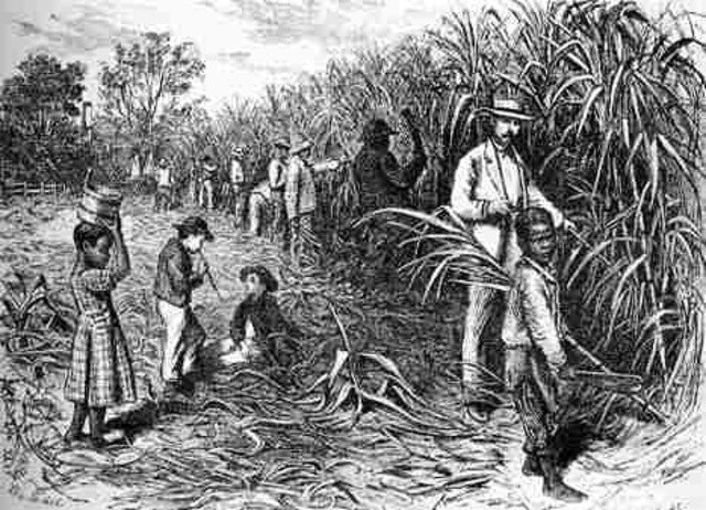 Ley del azúcar ("Sugar Act")