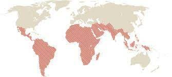 Nuevas Rutas para Exportar