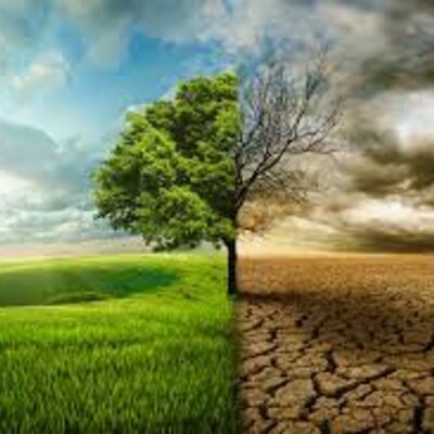 Timeline: Cambio ecológico