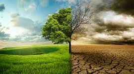 Timeline: Cambio ecológico