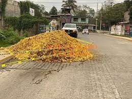 IQC empresa irresponsable.