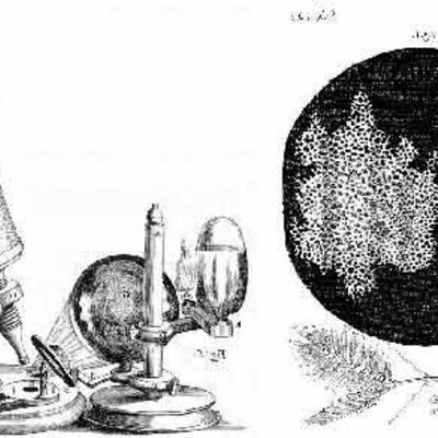 Timeline: LA TEORÍA CELULAR  fue producto de los aportes de varios científicos. Descubrieron la composición e influencia de las células en los procesos de nutrición, reproducción y herencia.