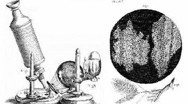 Timeline: LA TEORÍA CELULAR  fue producto de los aportes de varios científicos. Descubrieron la composición e influencia de las células en los procesos de nutrición, reproducción y herencia.