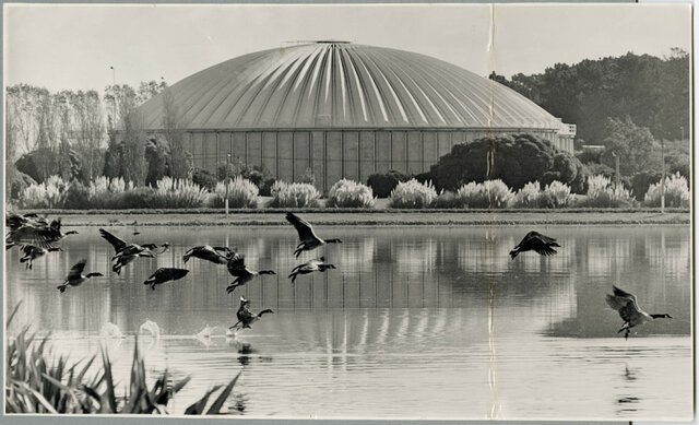 Christchurch wastewater treatment plant CWTP (upgraded). The purpose: to increase the capacity of sewage processing.