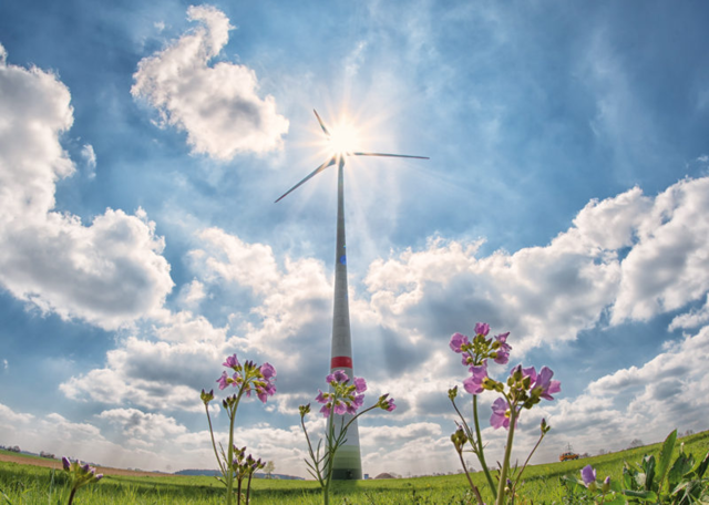 PLATAFORMA INTERNACIONAL DE INDUSTRIA EÓLICA