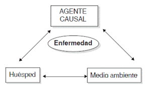 Modelo de la triada ecológica o causal ecológico