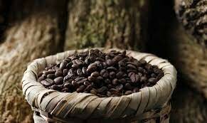 PRODUCCIÓN Y EXPORTACIÓN DE CAFÉ