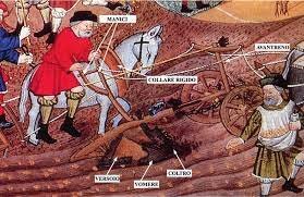 Rinascita dell'agricoltura