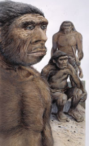 Descubrimiento del "Hombre de La Chapelle"