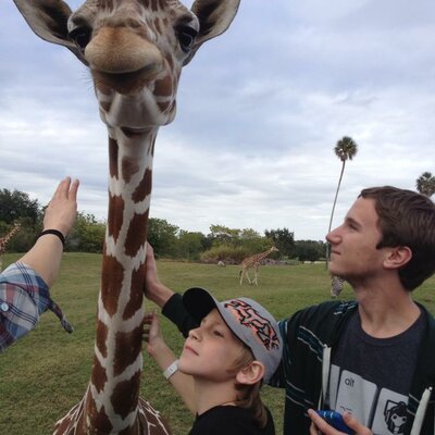 Timeline: Motivation