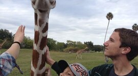 Timeline: Motivation