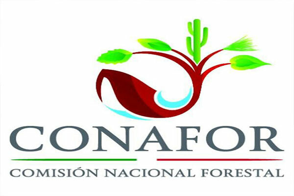 Comisión Nacional Forestal