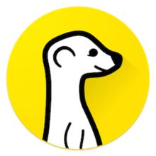 Meerkat