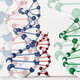 Bio imagen
