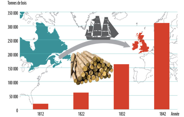Début du commerce de bois