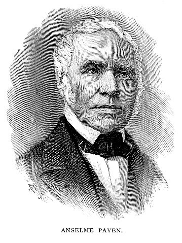 ANSELME PAYEN