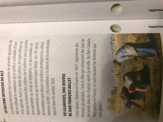 Disparités et montée du nationalisme : Les difficultés des autres