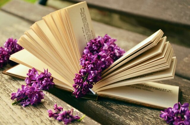 Impacto en el resto del Mundo