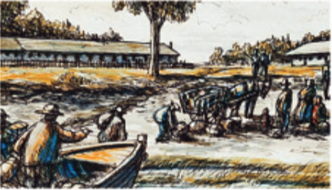 Les premiers établissemtns de quarantaine à  la grosse île