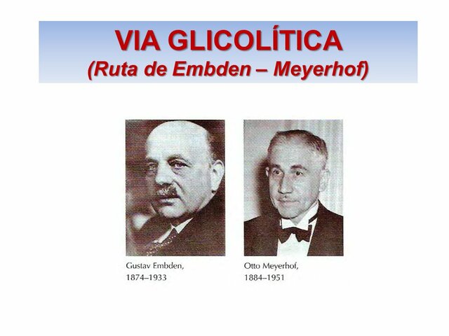 Gustav Embden y Otto Meyerhof