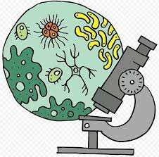 Termino Biología