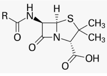 Creación de la penicilina