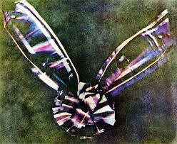 1ère Photographie en Couleur (5)