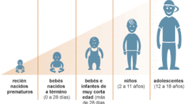 Timeline: ETAPAS DEL DESARROLLO - MOTRICIDAD