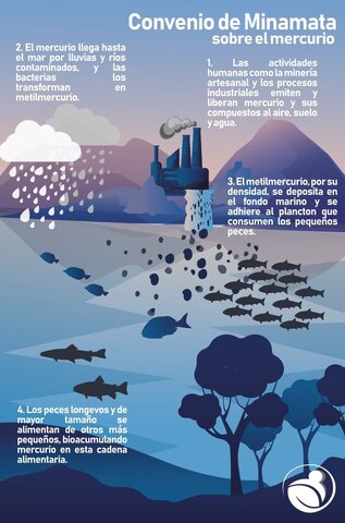 Convención de Minamata