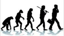 Timeline: Evolución de la administración