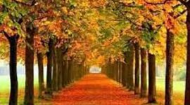 Timeline: Ontología: Política y libertad del ser humano