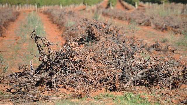 2 Year Drought Begins