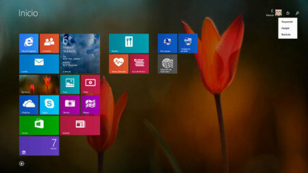 Windows 8