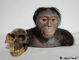 ARDIPITHECUS RAMIDUS