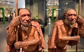HOMO NEANDERTHALENSIS