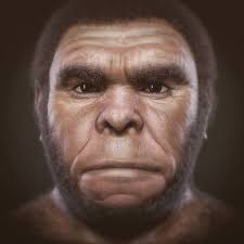 HOMO RHODESIENSIS
