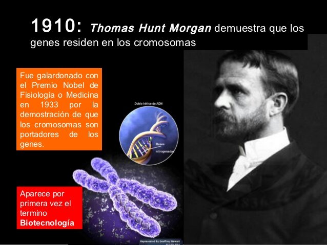 Thomas Hunt Morgan