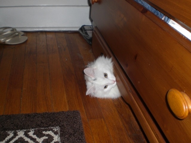 Clean out the closet/drawers 2x a year